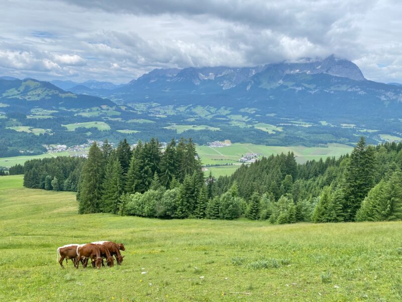 Summer in St Johann. Image © PlanetSKI